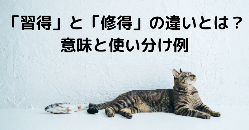 「習得」と「修得」の違いとは？意味と使い分け例